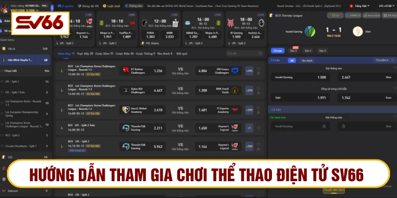 Bet thủ chọn sảnh chơi, trận đấu yêu thích và tạo vé