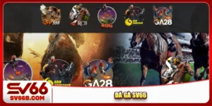 Đá gà SV66