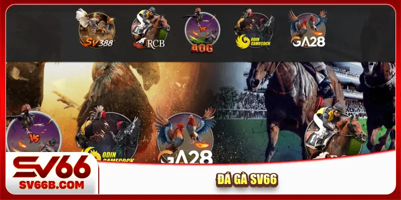 Đá gà SV66
