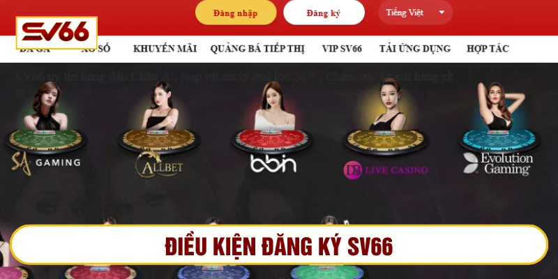 Hội viên tuân thủ điều khoản điều kiện về đăng ký SV66
