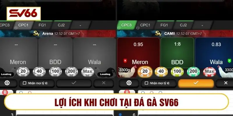 Mọi thông tin chơi tại đá gà SV66 được bảo mật toàn diện