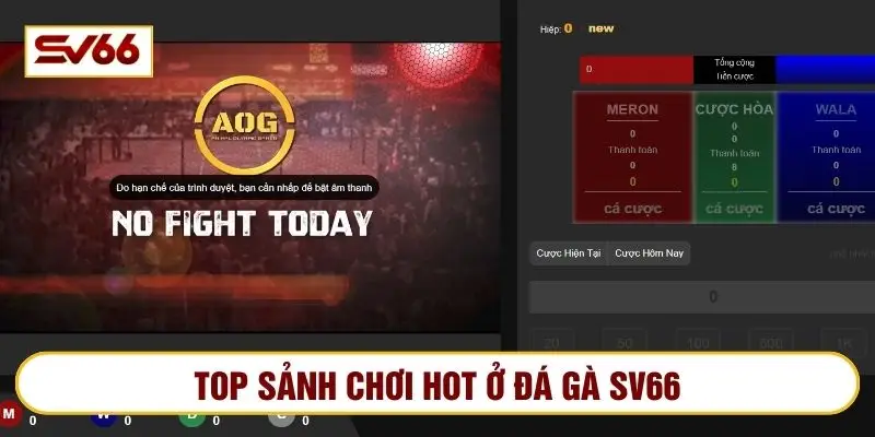 Nhiều sảnh chơi đá gà hot như AOG có hệ thống hiện đại