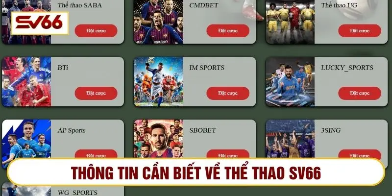 Thể thao SV66 có đến hơn 10 sảnh chơi chất lượng